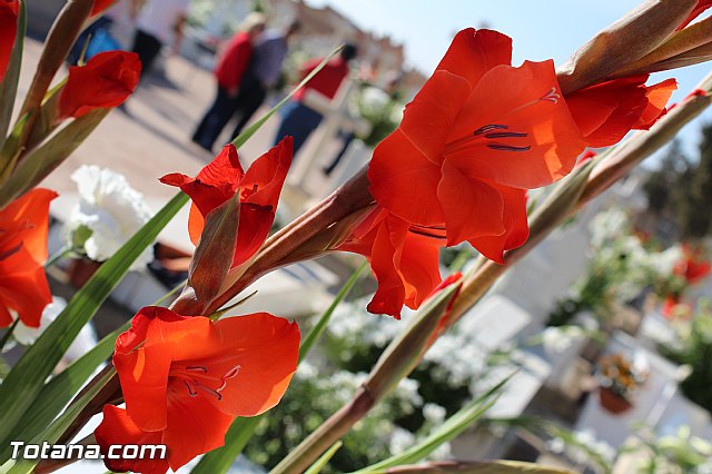 Da de todos los Santos y Fieles Difuntos 2014 - 83