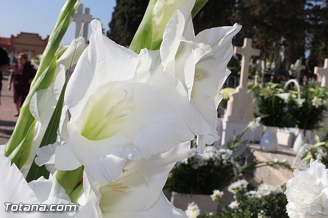 Da de todos los Santos y Fieles Difuntos 2014 - 84