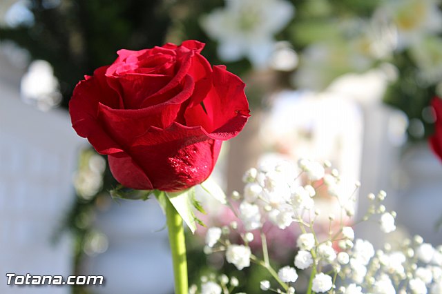 Da de todos los Santos y Fieles Difuntos 2014 - 110