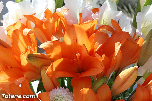 Da de todos los Santos y Fieles Difuntos 2014 - 124