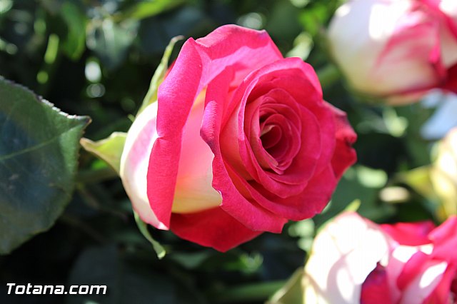 Da de todos los Santos y Fieles Difuntos 2014 - 184