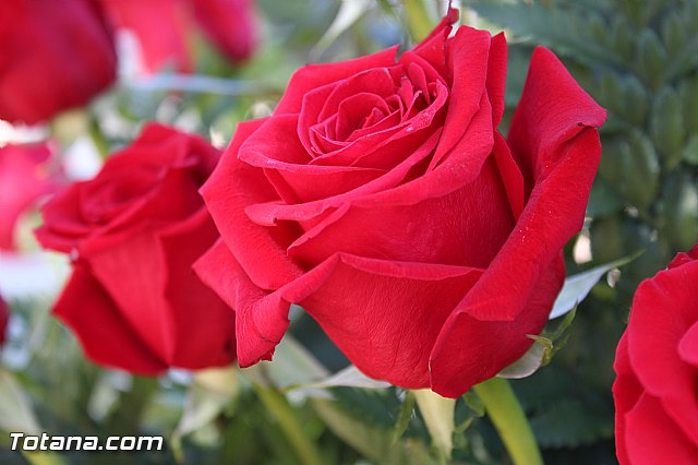 Da de todos los Santos y Fieles Difuntos 2014 - 278