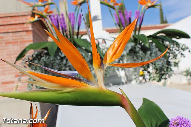 Da de todos los Santos y Fieles Difuntos 2014 - 296