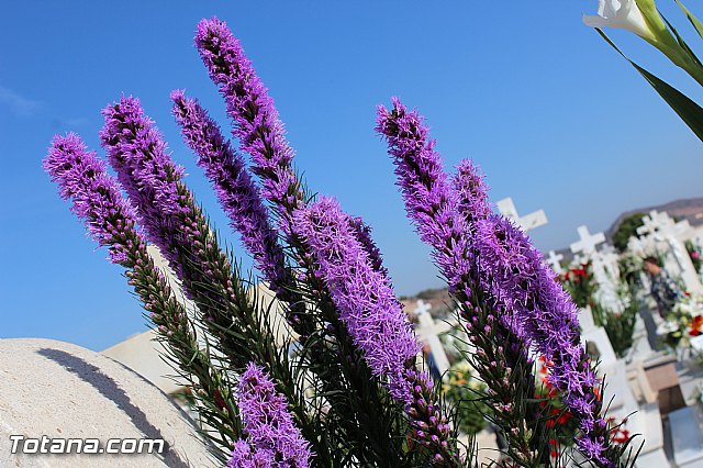 Da de todos los Santos y Fieles Difuntos 2014 - 369