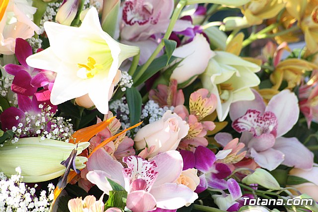 Todos los Santos y Fieles Difuntos. Totana 2011 - 26