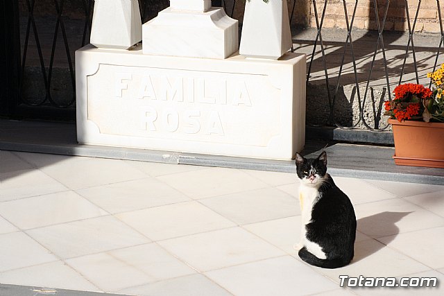 Todos los Santos y Fieles Difuntos. Totana 2011 - 47