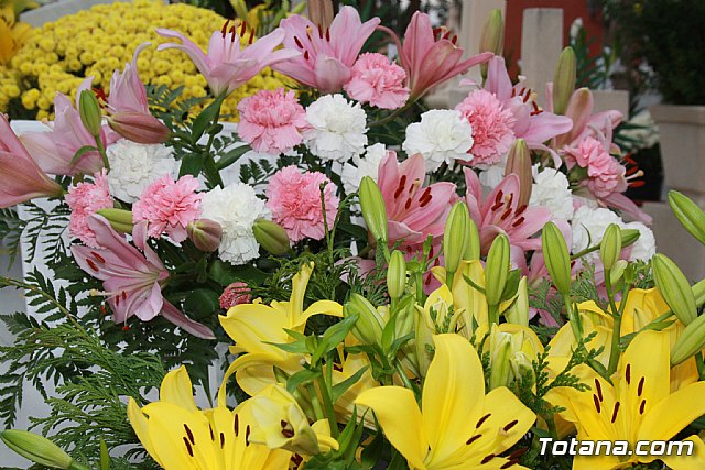 Todos los Santos y Fieles Difuntos. Totana 2011 - 136