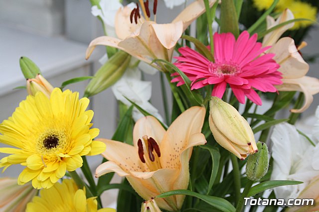 Todos los Santos y Fieles Difuntos. Totana 2011 - 138