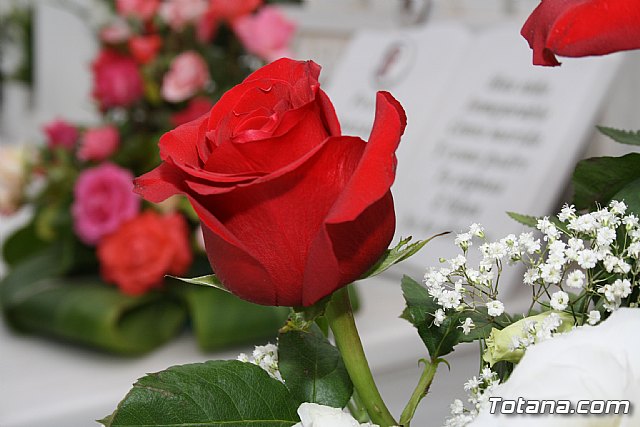 Todos los Santos y Fieles Difuntos. Totana 2011 - 140