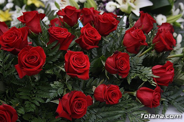 Todos los Santos y Fieles Difuntos. Totana 2011 - 144