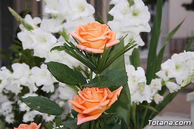 Todos los Santos y Fieles Difuntos. Totana 2011 - 166