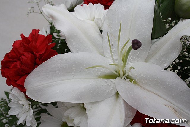 Todos los Santos y Fieles Difuntos. Totana 2011 - 168