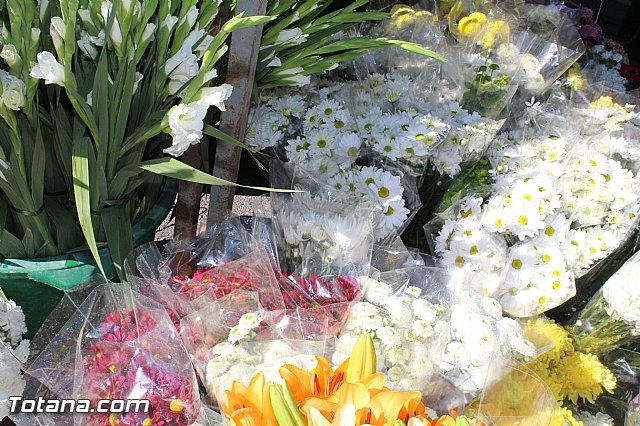 Da de todos los Santos - Totana 2015 - 7