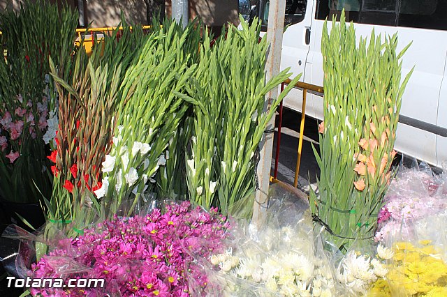 Da de todos los Santos - Totana 2015 - 8