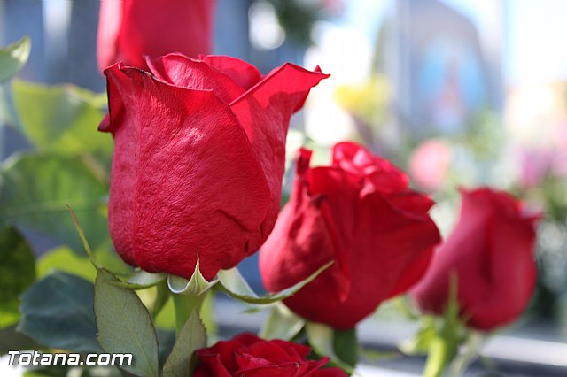 Da de todos los Santos - Totana 2015 - 165
