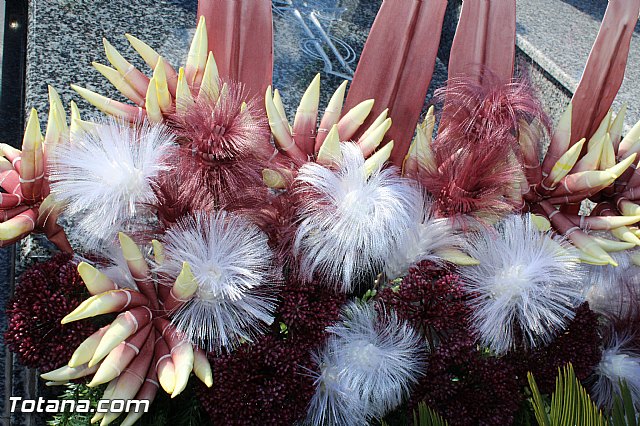 Da de todos los Santos - Totana 2015 - 167