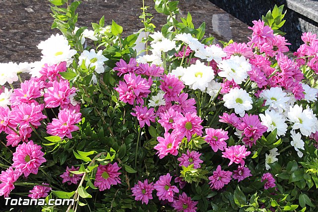 Da de todos los Santos - Totana 2015 - 211