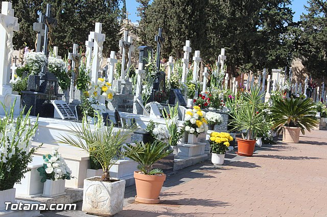 Da de todos los Santos - Totana 2015 - 272