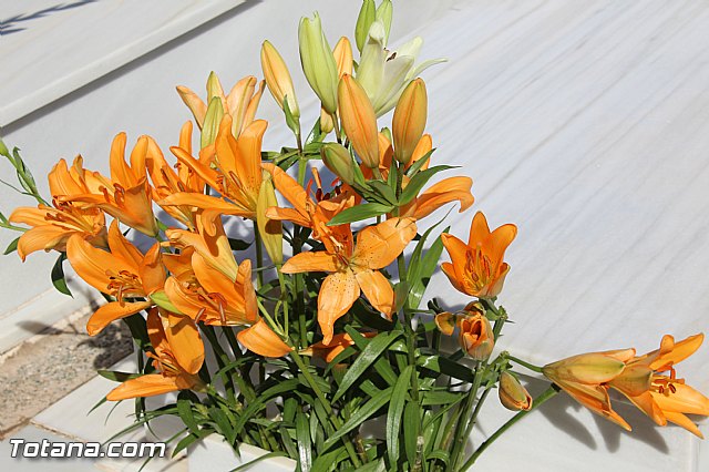 Da de todos los Santos - Totana 2015 - 282