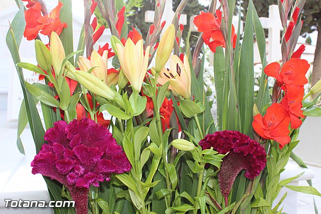 Da de todos los Santos - Totana 2015 - 295