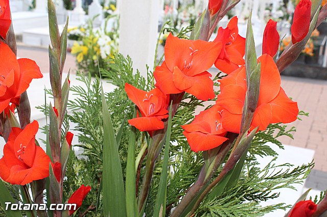 Da de todos los Santos - Totana 2015 - 324