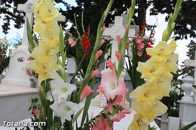 Da de todos los Santos - Totana 2015 - 334