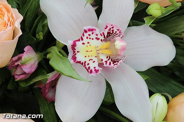 Da de todos los Santos - Totana 2015 - 360