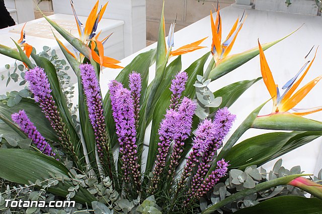 Da de todos los Santos - Totana 2015 - 367