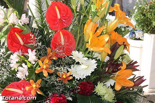 Da de todos los Santos - Totana 2016 - 54