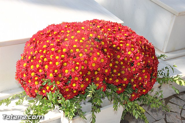 Da de todos los Santos - Totana 2016 - 79