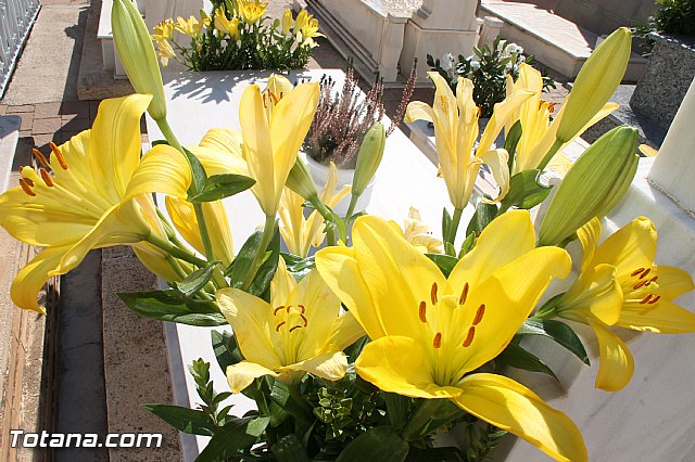 Da de todos los Santos - Totana 2016 - 120