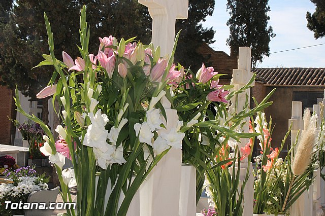 Da de todos los Santos - Totana 2016 - 124