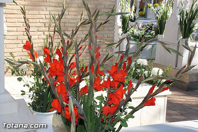 Da de todos los Santos - Totana 2016 - 129