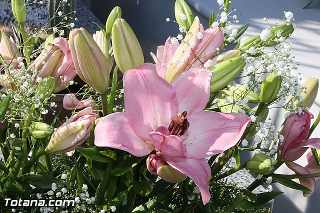 Da de todos los Santos - Totana 2016 - 148