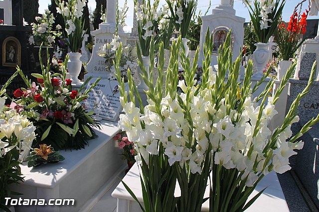 Da de todos los Santos - Totana 2016 - 186