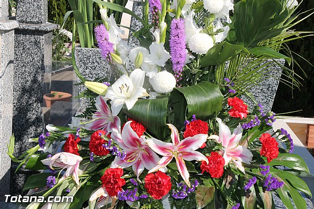 Da de todos los Santos - Totana 2016 - 190