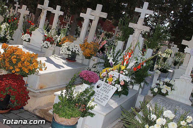 Da de todos los Santos - Totana 2016 - 211