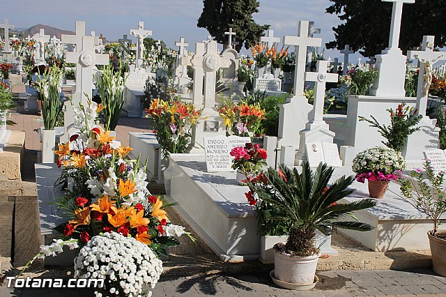 Da de todos los Santos - Totana 2016 - 216