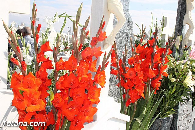 Da de todos los Santos - Totana 2016 - 243