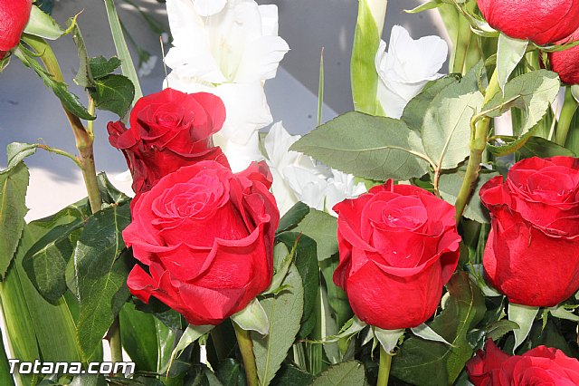 Da de todos los Santos - Totana 2016 - 257