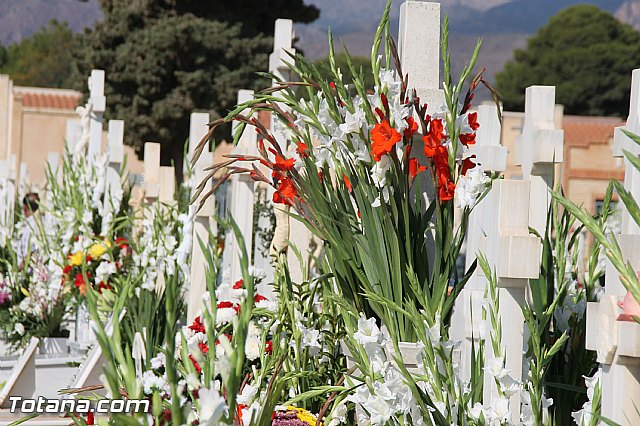 Da de todos los Santos - Totana 2016 - 299