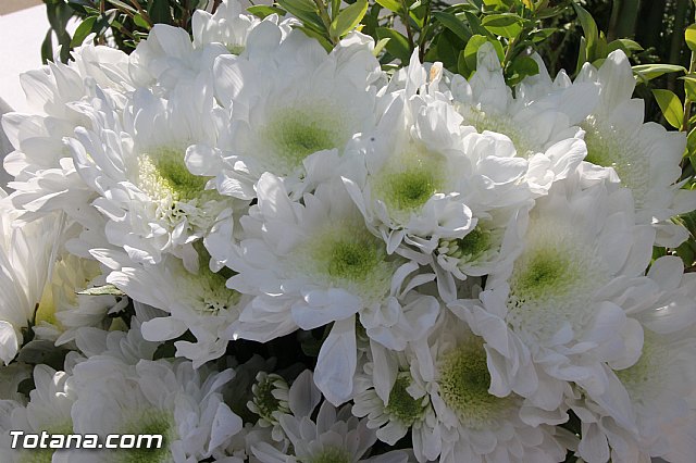 Da de todos los Santos - Totana 2016 - 317