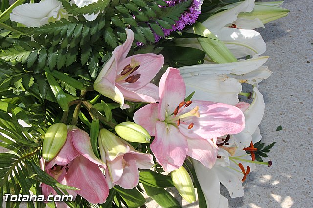 Da de todos los Santos - Totana 2016 - 370