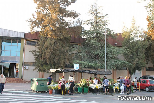 Da de Todos los Santos y Fieles Difuntos 2017 - 7