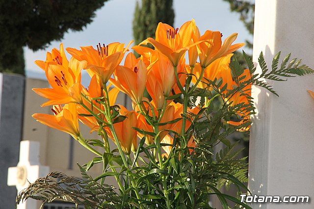 Da de Todos los Santos y Fieles Difuntos 2017 - 359