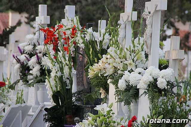 Da de Todos los Santos y Fieles Difuntos 2017 - 450