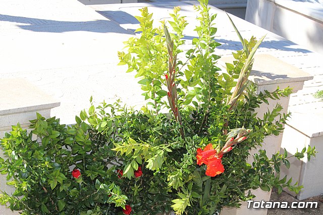 Da de Todos los Santos - Totana 2018 - 40