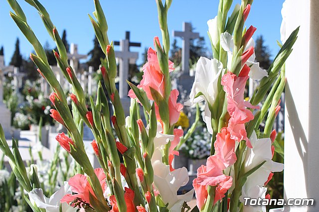 Da de Todos los Santos - Totana 2018 - 113