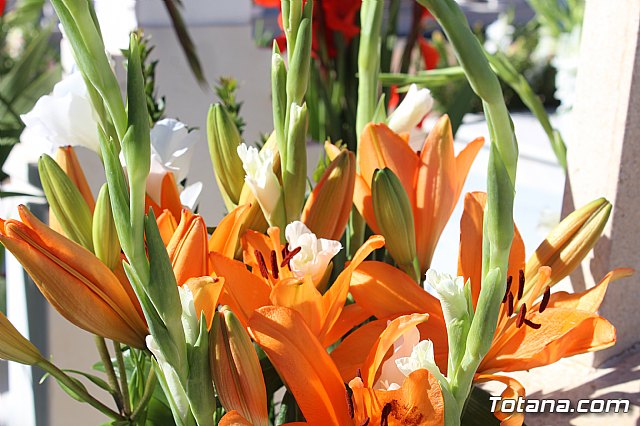 Da de Todos los Santos - Totana 2018 - 118