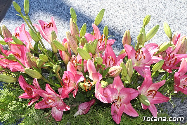 Da de Todos los Santos - Totana 2018 - 130